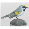 Image 1 : Miniature Golden Winged Warbler with drop wing ca