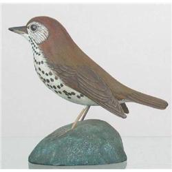 Miniature Wood Thrush by Jess Blackstone. Wood Th