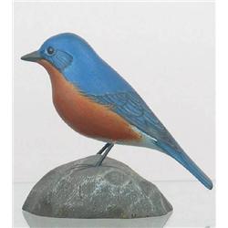 Miniature Bluebird by Jess Blackstone. Bluebird,