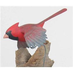 Miniature flying male cardinal on a driftwood mou