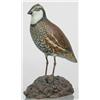 Image 1 : Rare early life sized bob white quail by A. E. C