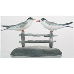 Extremely rare pair of miniature common terns by 