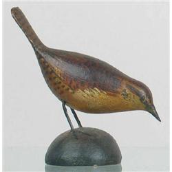 EARLY Miniature house wren by A. E. Crowell, East