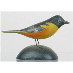 Miniature Baltimore oriole by A. E. Crowell, East