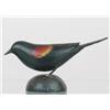 Image 1 : Early miniature red winged blackbird in by A. E. 