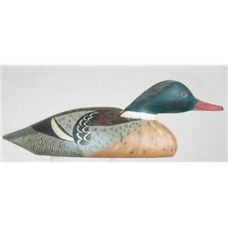 Red breasted merganser drake carved in the A. E. 