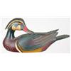 Image 1 : Preening half sized wood duck drake with wings li