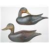 Image 1 : Lot of two half sized black ducks with carved win