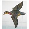Image 1 : OUTSTANDING  Pair of large flying wall mount wood