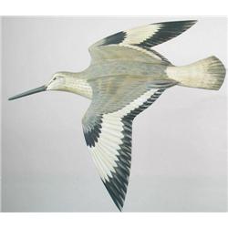 Wall mounted flying willet by multi-talented Conn