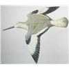 Image 1 : Wall mounted flying willet by multi-talented Conn