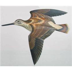 Wall mount flying common snipe by T. A. Eastland.