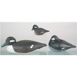 Lot of three bufflehead hen decoy model carvings 