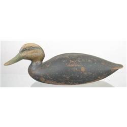 RARE DECOY.  Nice early black duck by Ben Smith, 