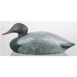 Extremely rare and earliest known canvasback drak