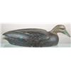 Image 1 : Swimming oversized black duck by Gerald Robinson,