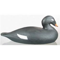 Hollow white wing scoter decoy by Roger Mitchell,