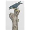 Image 1 : Miniature peregrine falcon mounted on a branch wi