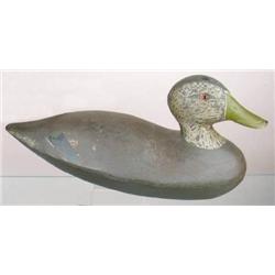 Black duck decoy possibly by Ralph Laurie.  Check