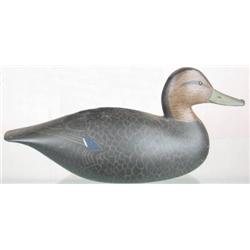 Black duck decoy made by Alberto Bert Williams, 