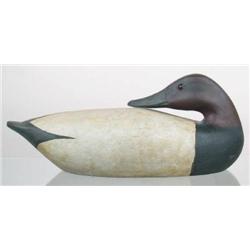 Rare sleeping canvasback drake decoy by Charles W