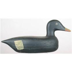 White wing scoter decoy by Ray Caen, Mystic    Ri