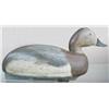 Image 1 : Bob Tail Canvasback drake decoy with original kee