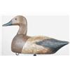 Image 1 : Canvasback hen from WI with glass eyes and an int