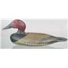 Image 1 : Stevens factory canvasback drake with glass eyes,