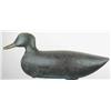 Image 1 : Early black duck possibly from Maine with an inle