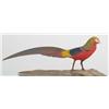Image 1 : Miniature golden pheasant by Harold Gibbs, Barrin