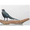 Image 1 : Very rare black Asian cock pheasant by Harold Gib