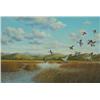 Image 1 : Oil on Canvas of eleven pintail landing in a Cali