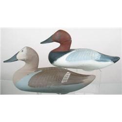 Pair of canvasback by Capt. Harry Jobes, Havre de