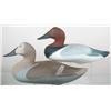 Image 1 : Pair of canvasback by Capt. Harry Jobes, Havre de