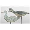 Image 1 : Lot of two flatty shorebirds.  A small gull like 