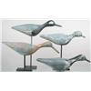 Image 1 : Lot of seven shorebirds, most in the running or r