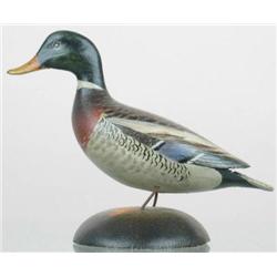 Miniature mallard drake by A. E. Crowell, East Ha