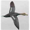 Image 1 : Miniature flying black duck with a 6 1/2 in wing 