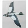 Image 1 : Miniature flying goldeneye drake with a 6 in wing