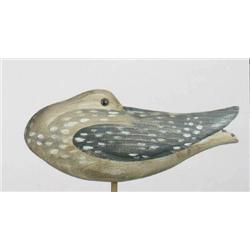 Sleeping yellowlegs by Will Kirkpatrick made in t