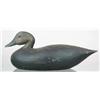 Image 1 : MAGNUM OVERSIZE working black duck decoy ca early