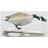 Image 1 : Miniature hissing Canada Goose mounted on driftwo