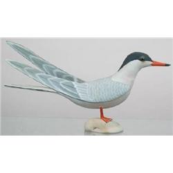 EXCEPTIONAL life size common tern standing on a c