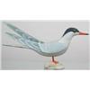 Image 1 : EXCEPTIONAL life size common tern standing on a c