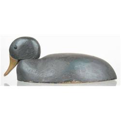 Swimming bobtail black duck decoy from Ohio or Mi