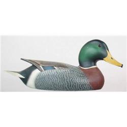 Mallard Drake decoy made of balsa wood with a tur