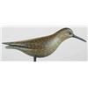 Image 1 : RARE SPECIE; A Massachusetts curlew sandpiper dec