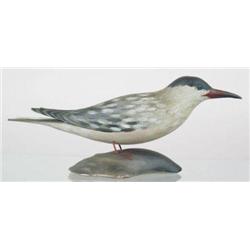 Very early lifesize common tern carving with tack