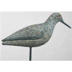 SPLIT TAIL black bellied plover decoy from New Je